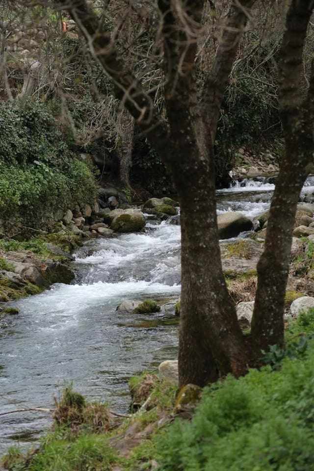 El Olivar Agloipe Ahigal Trcc Luaran gambar